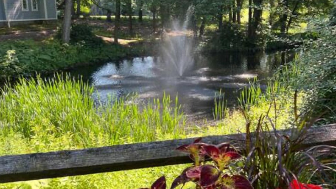 Photo of Outdoor in Norwich