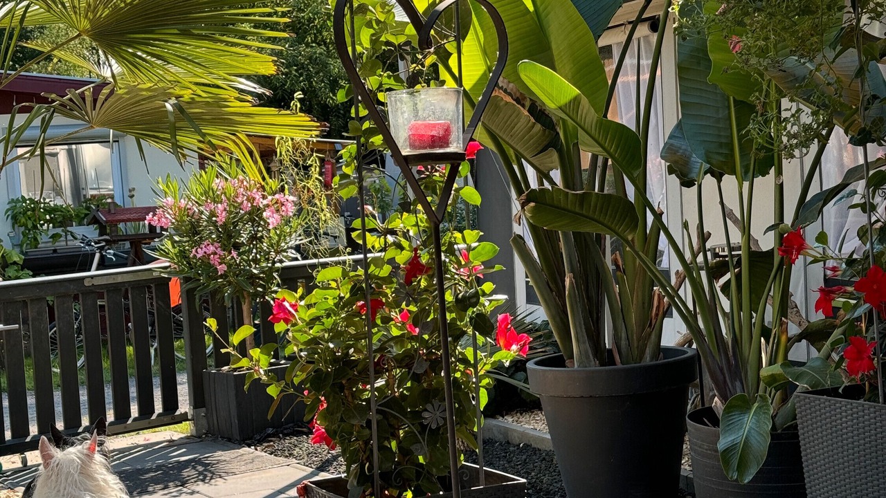 Photo of Patio Balcony in Plaue