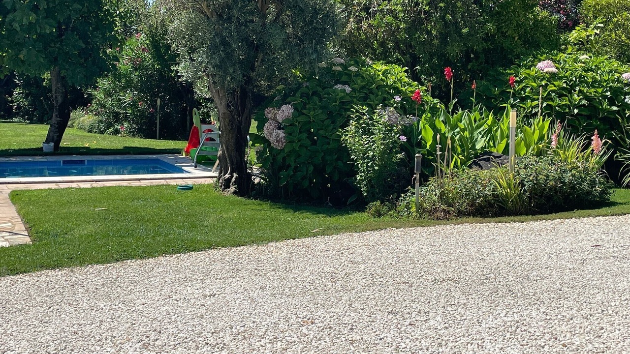 Photo of Others in Montemor-o-Novo