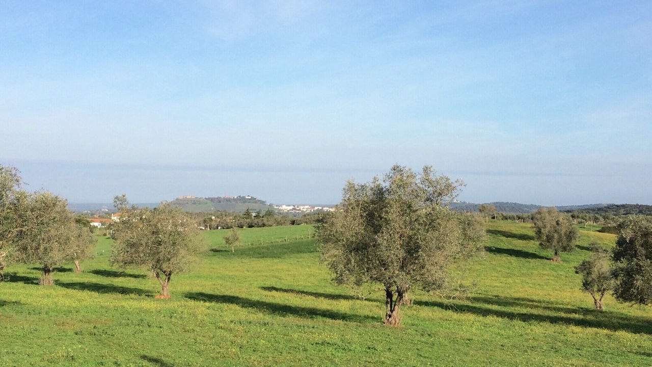 Photo of Others in Montemor-o-Novo