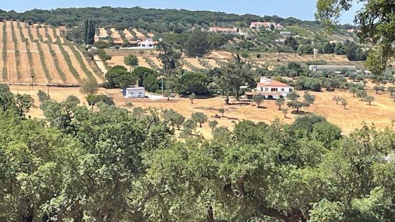 Photo of Others in Montemor-o-Novo