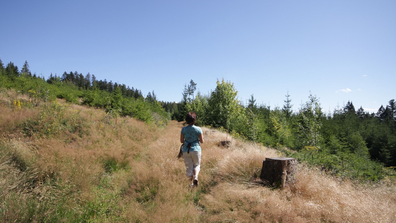 Photo of Others in Tegernau