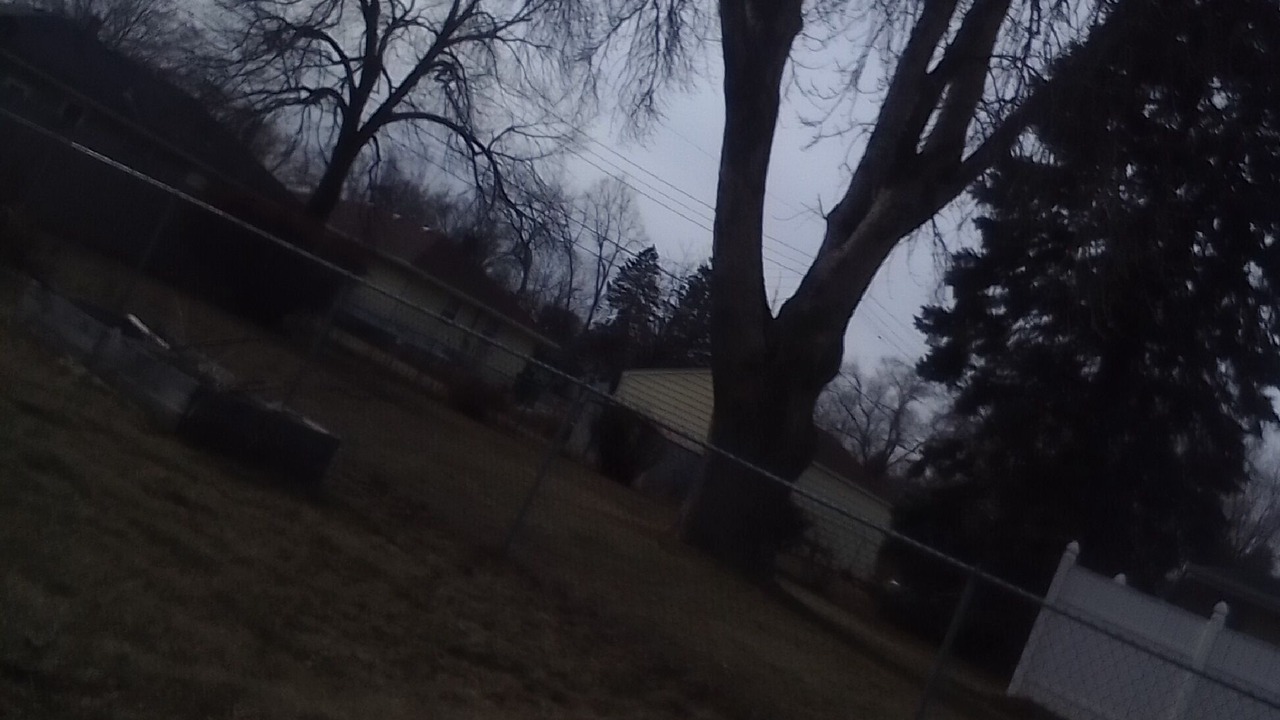 Photo of Others in Maplewood