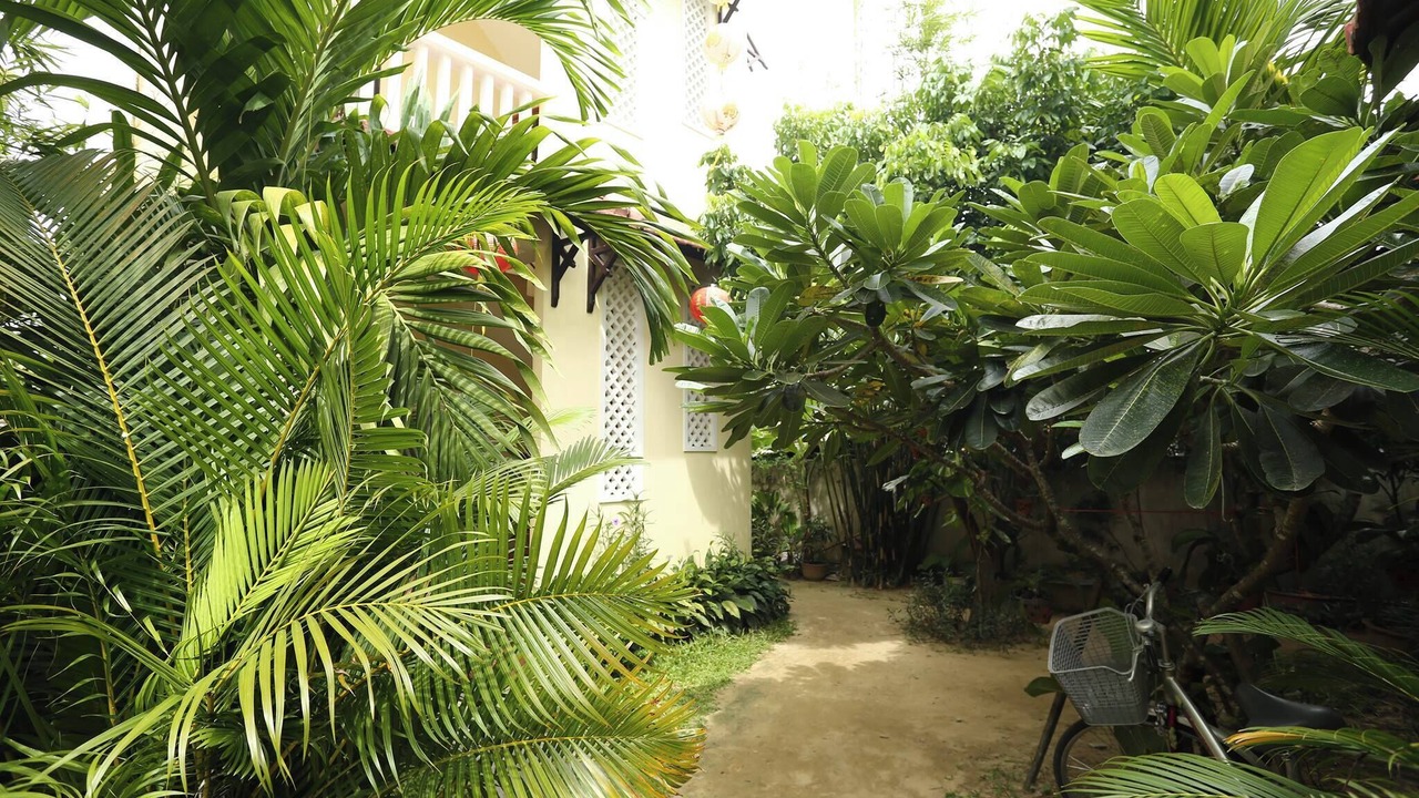 Photo of Outdoor in Cam Chau