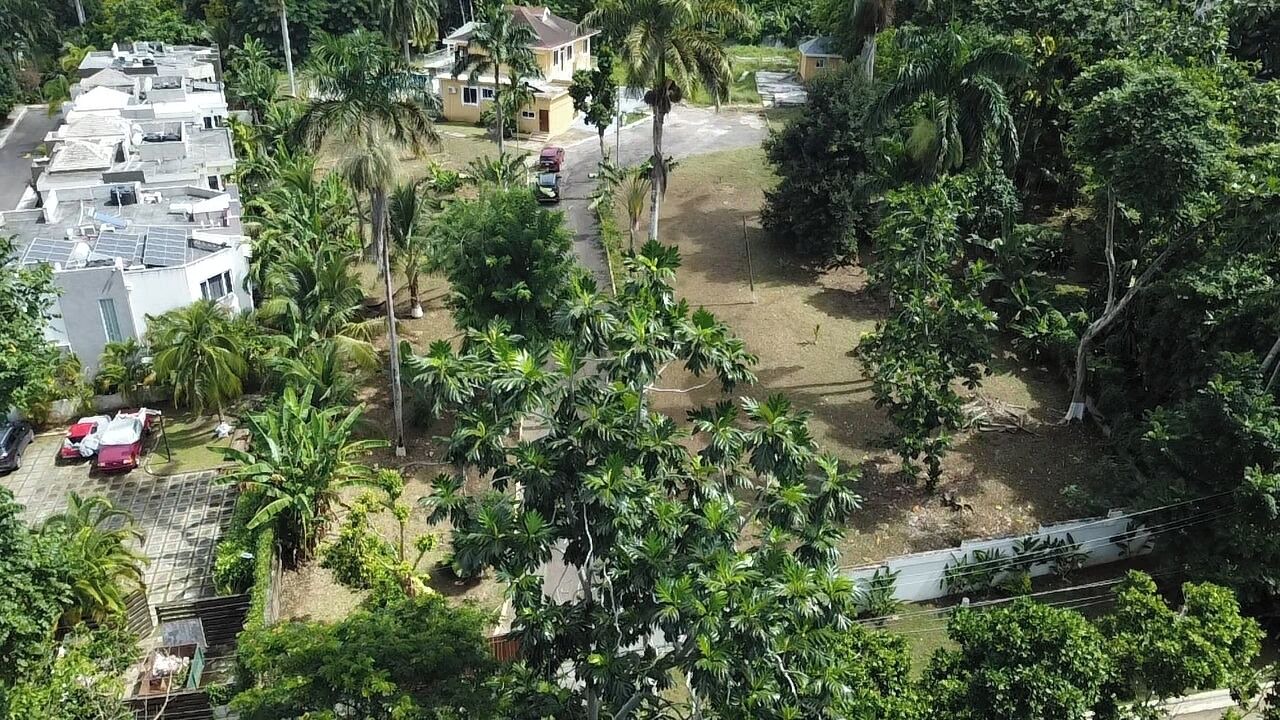 Photo of Outdoor in Albion