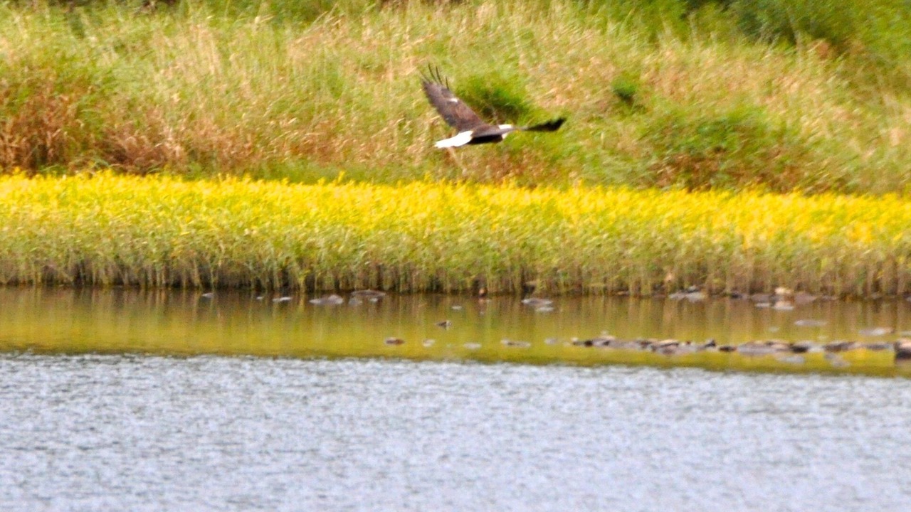 Photo of Others in Jersey Mills