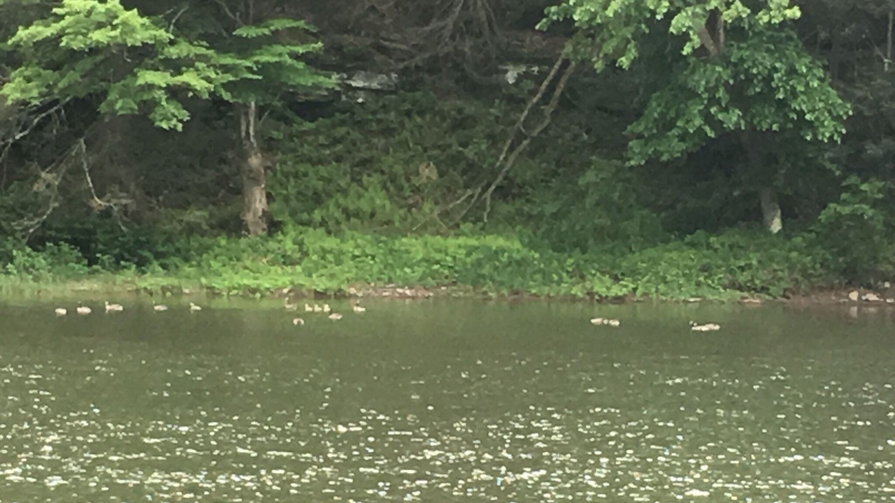 Photo of Others in Jersey Mills