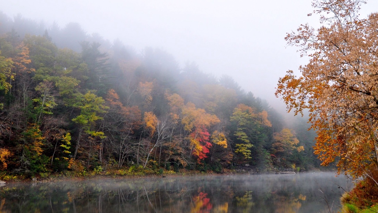 Photo of Outdoor in Jersey Mills