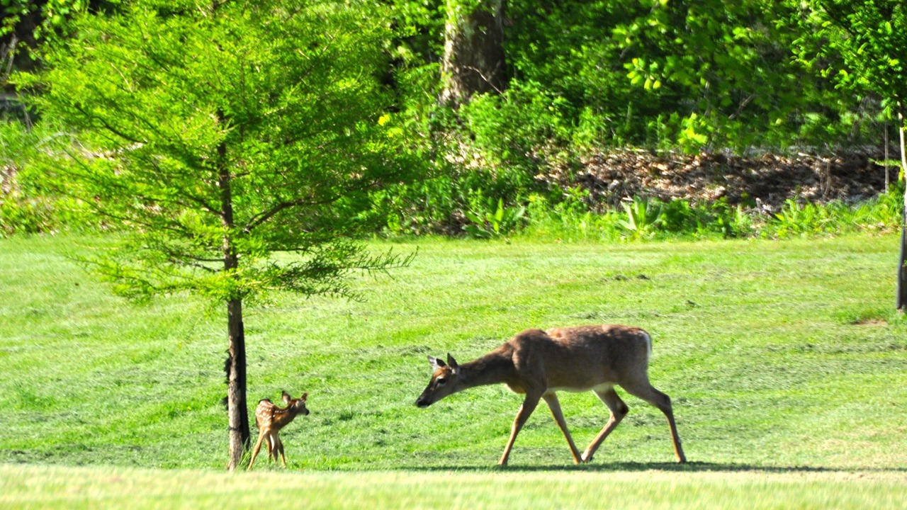 Photo of Others in Jersey Mills