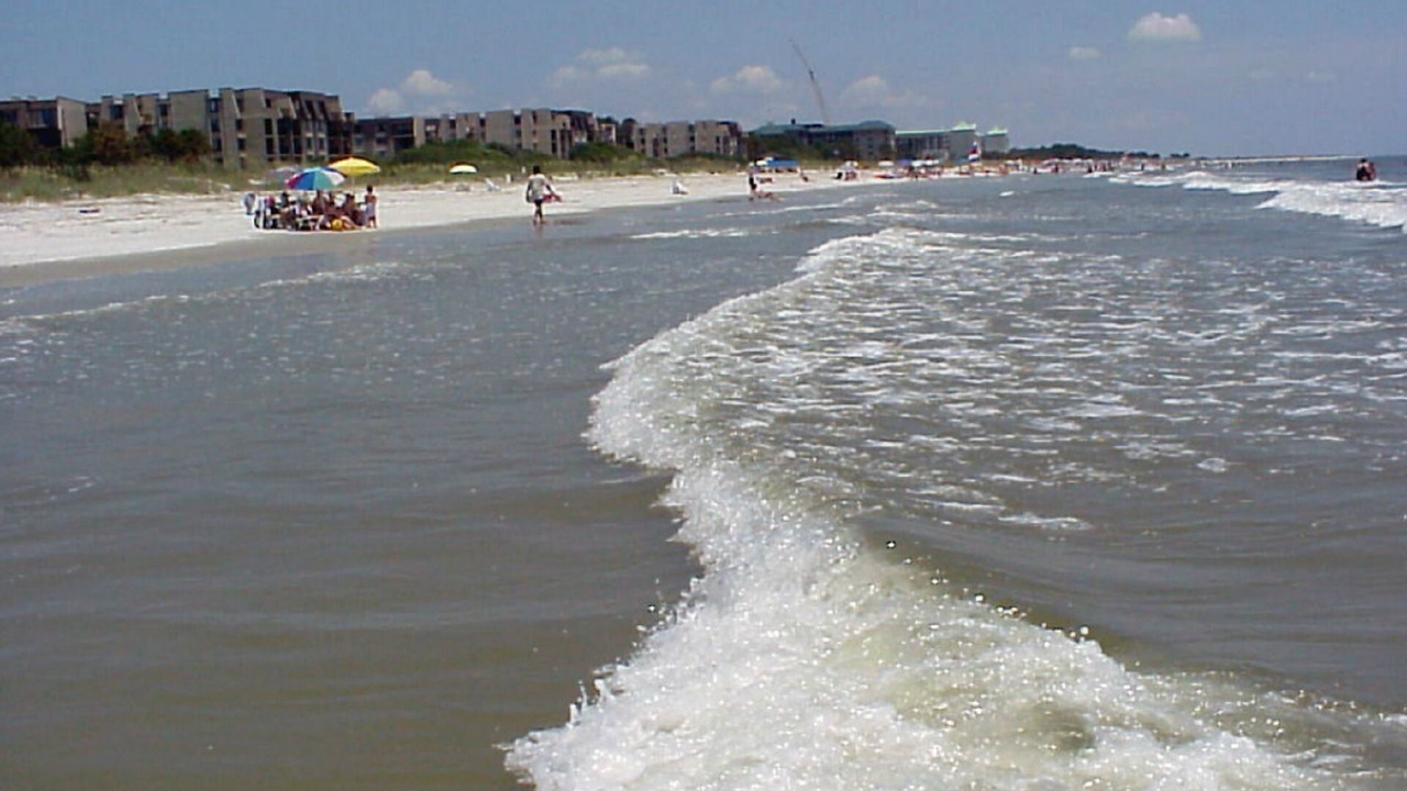 Photo of Others in Folly Field