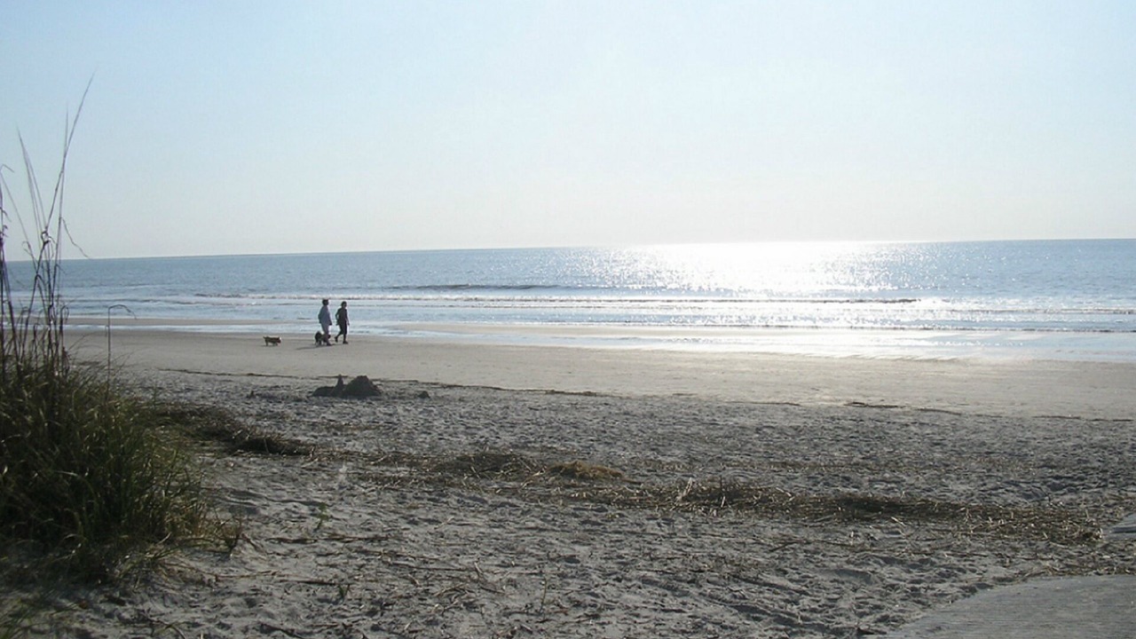Photo of Others in Folly Field