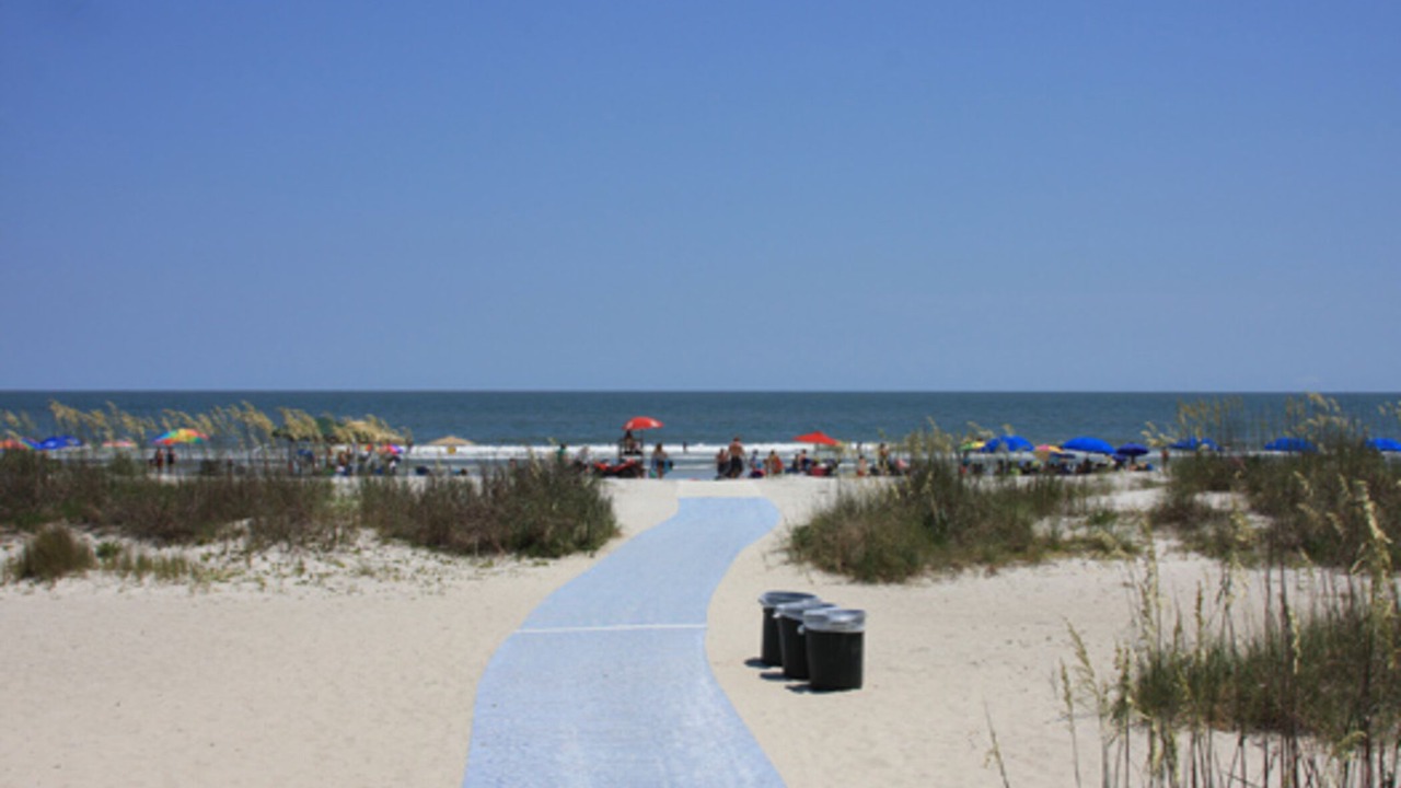 Photo of Others in Folly Field