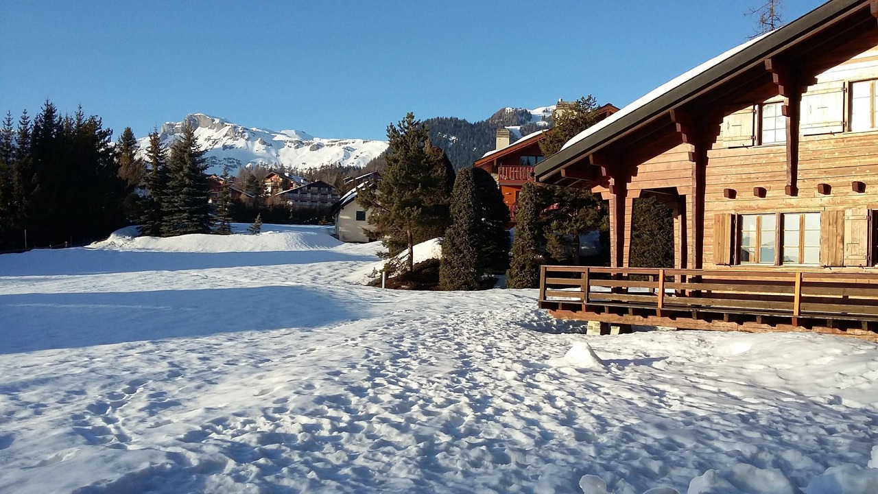 Photo of Outdoor in Lens