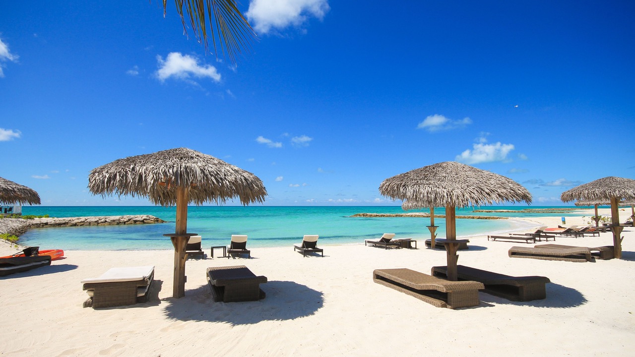Photo of Others in Palm Cay
