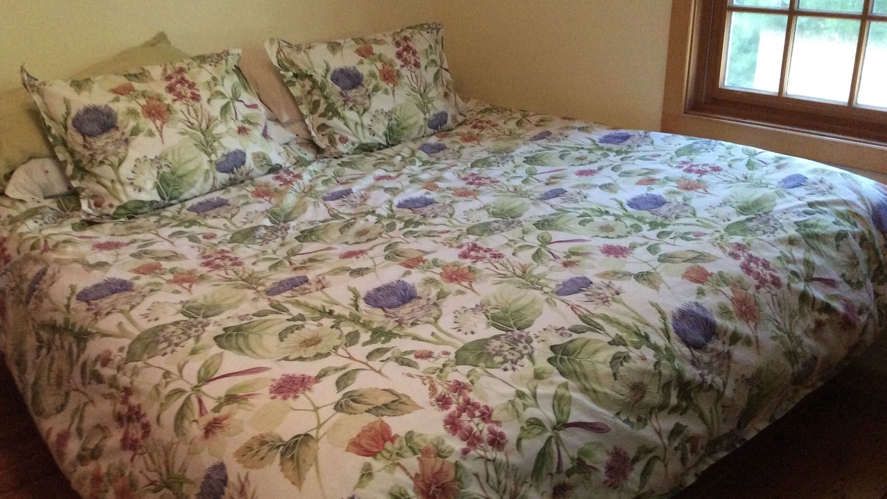 Photo of Bedroom in Interlochen