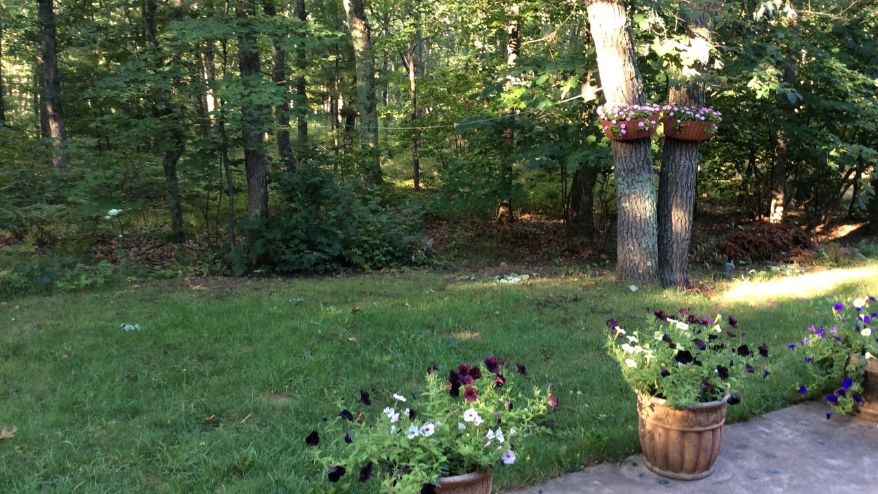 Photo of Outdoor in Interlochen