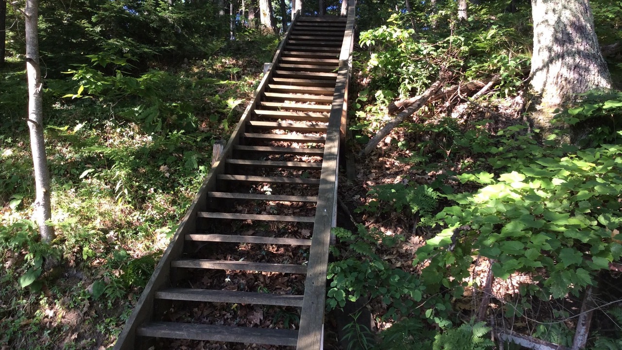 Photo of Outdoor in Interlochen
