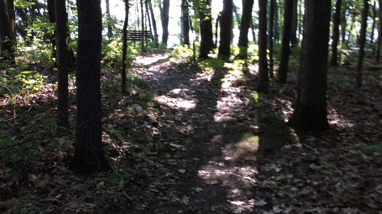 Photo of Outdoor in Interlochen