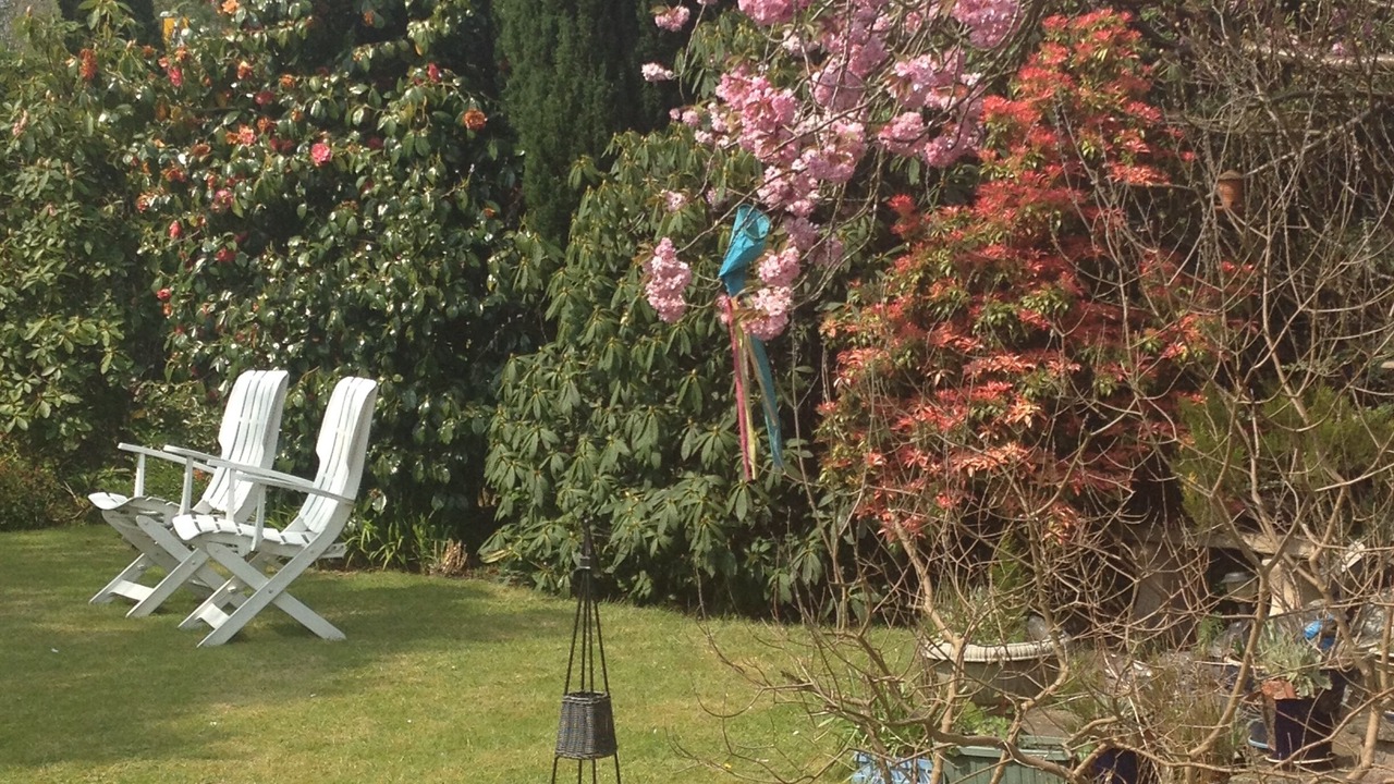 Photo of Outdoor in Trafford