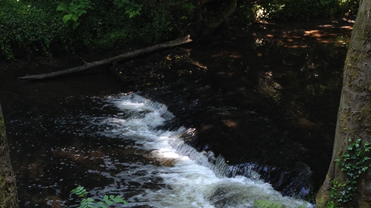 Photo of Outdoor in Trafford