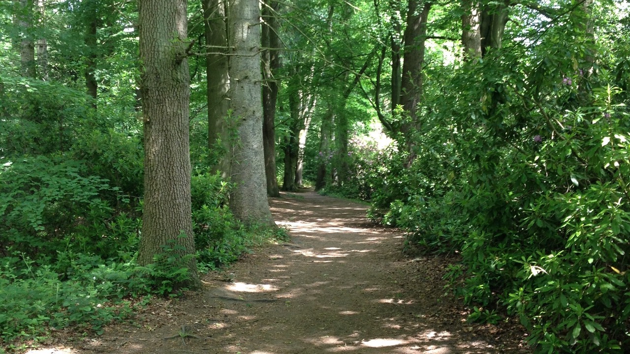 Photo of Outdoor in Trafford