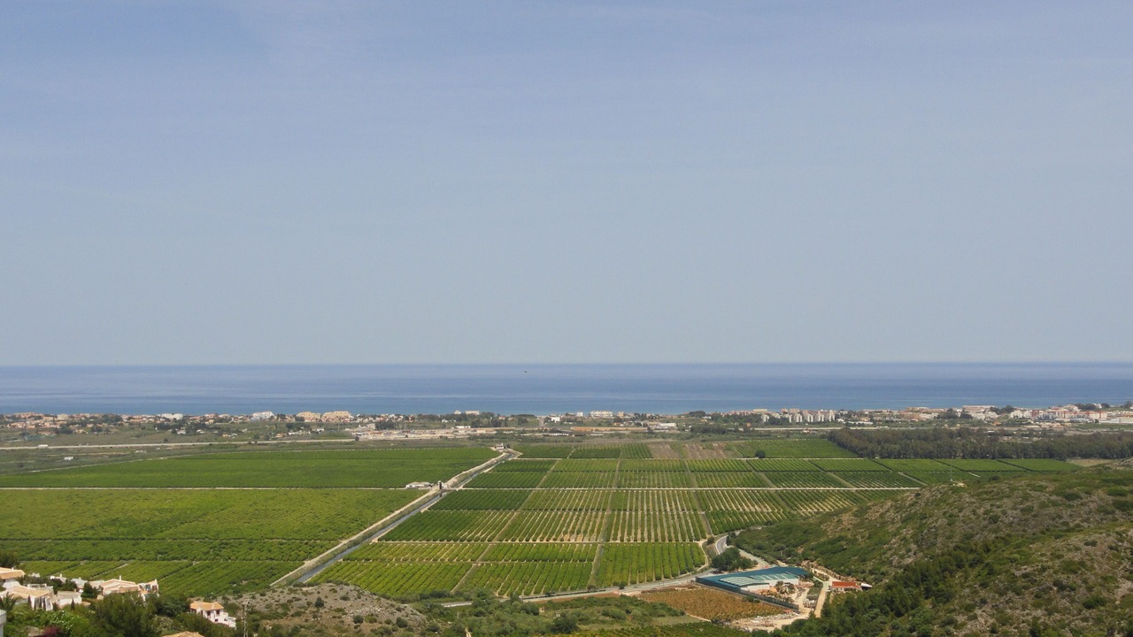 Photo of Others in Monte Pego