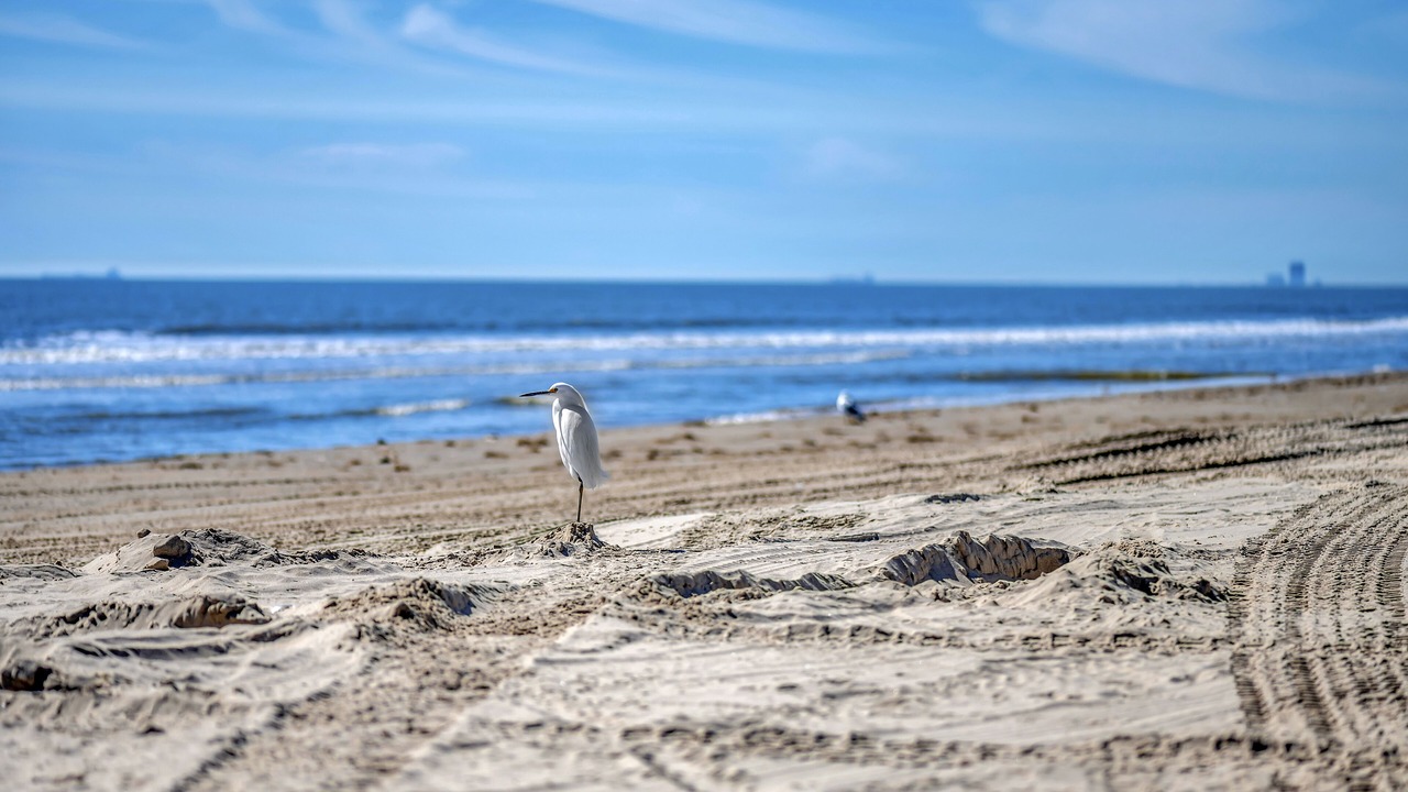 Photo of Others in Crystal Beach