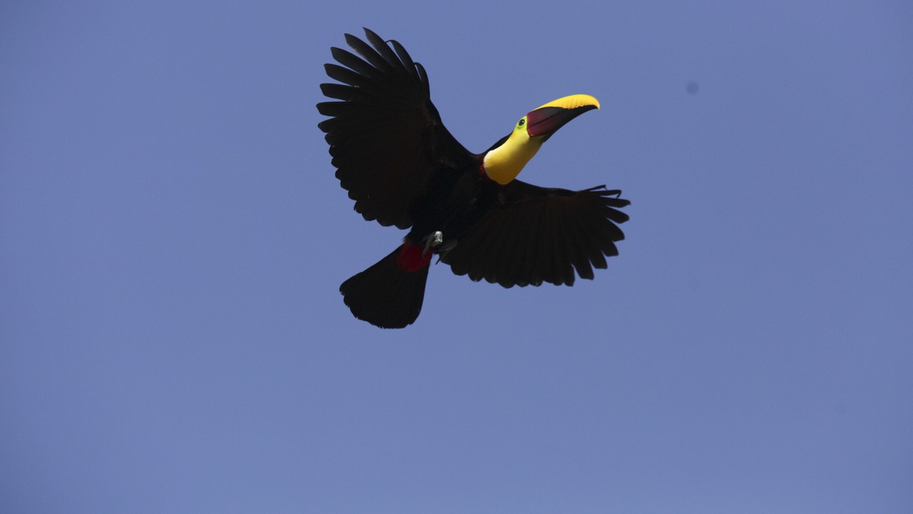 Photo of Others in Tres Rios