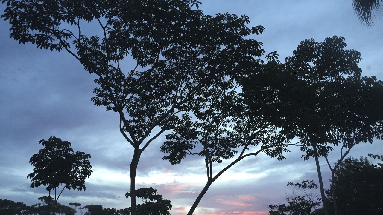 Photo of Others in Tres Rios