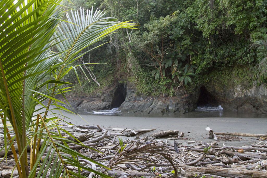 Photo of Others in Tres Rios
