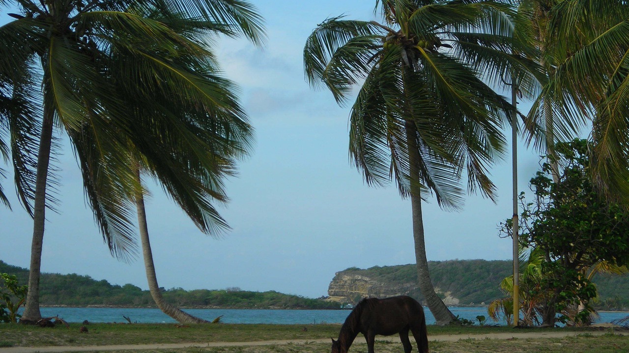 Photo of Others in Esperanza