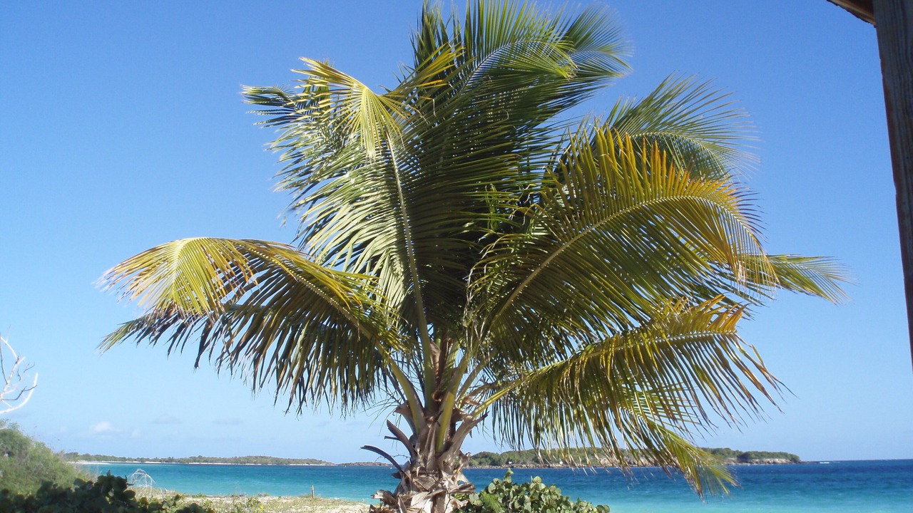 Photo of Others in Esperanza