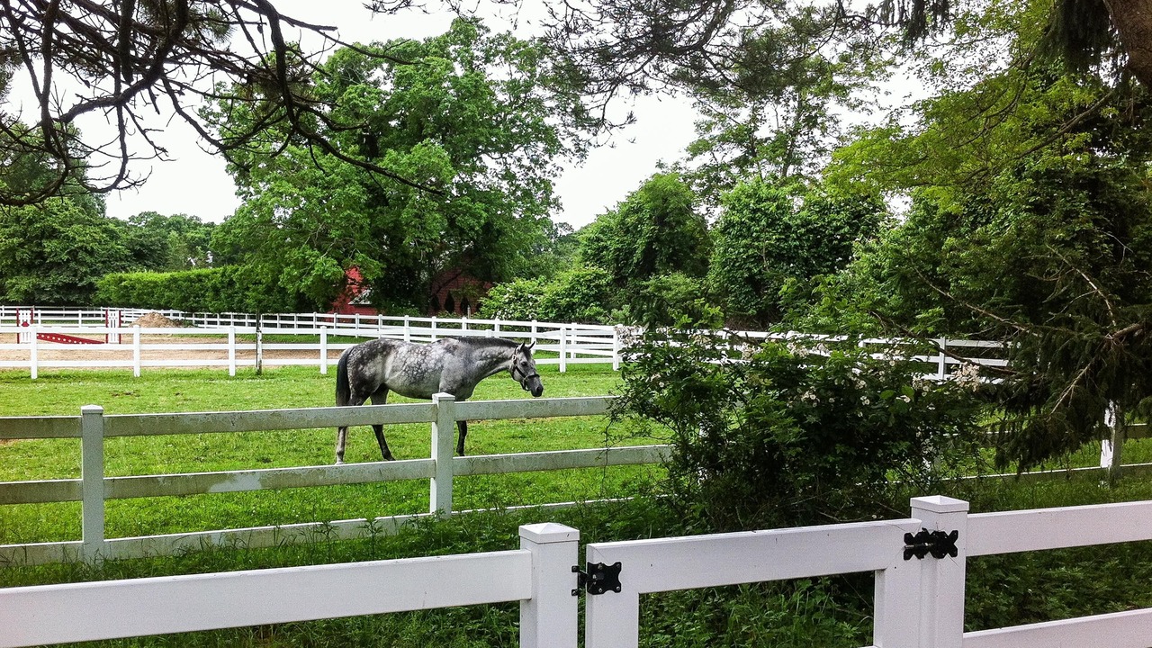 Photo of Others in East Hampton North