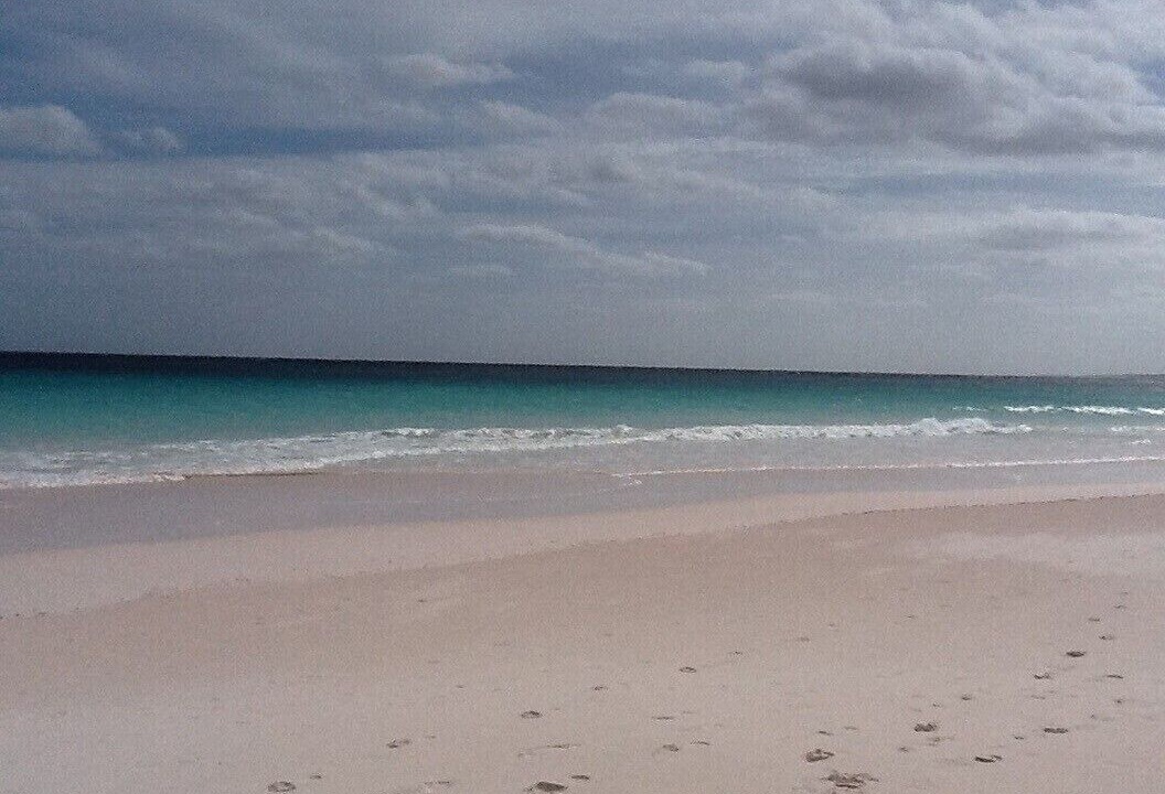 Photo of Others in Paradise Island