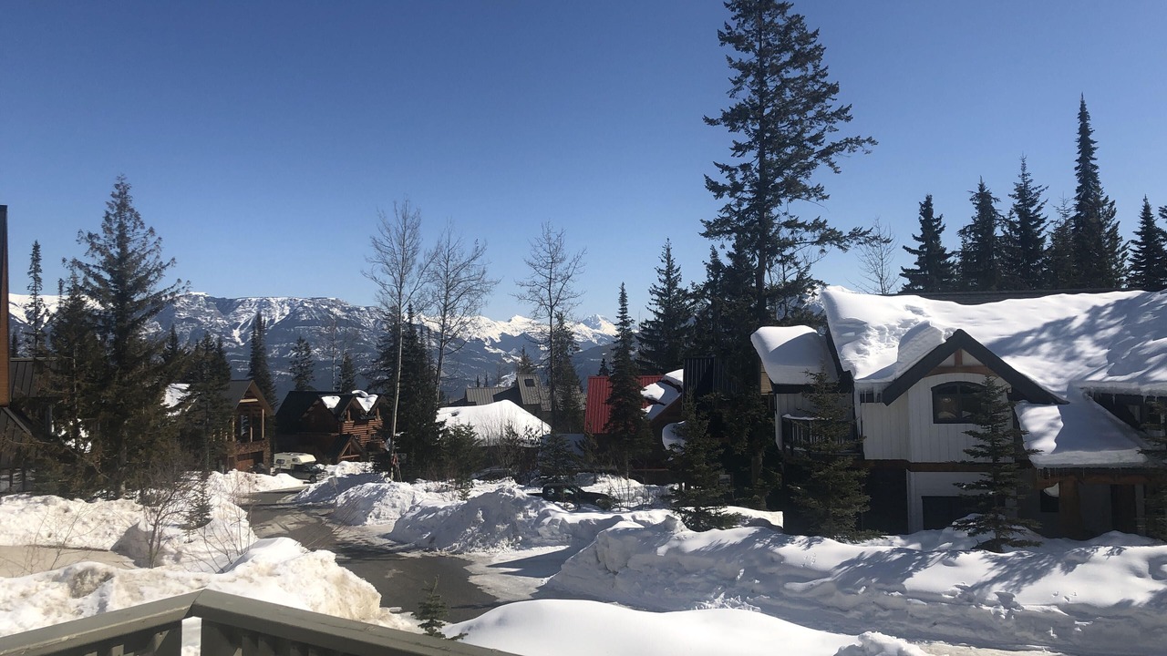 Photo of Outdoor in Golden