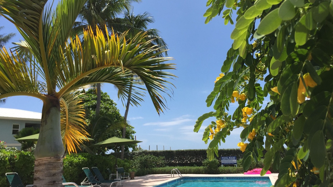 Photo of Outdoor in Seven Mile Beach