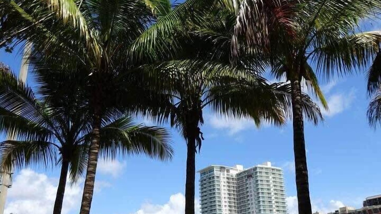 Photo of Others in Coconut Grove