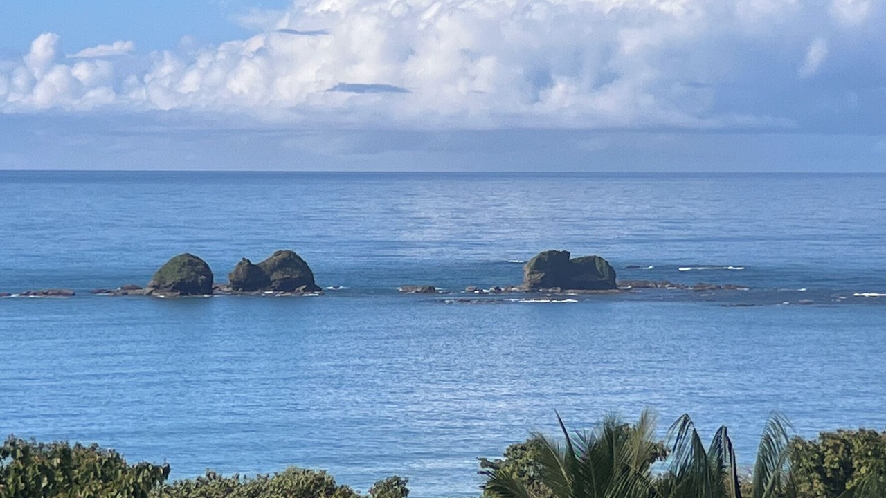 Photo of Others in Ballena