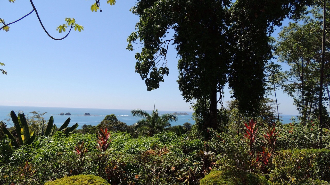 Photo of Others in Ballena