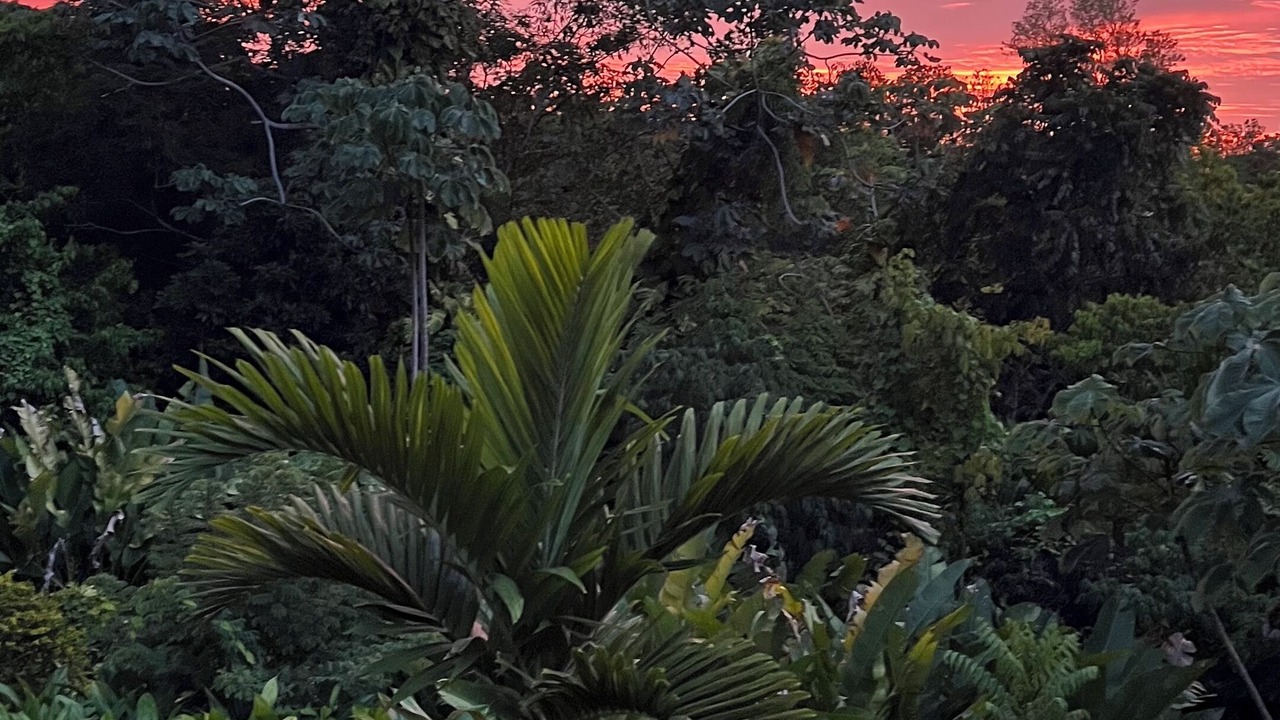 Photo of Others in Port Antonio