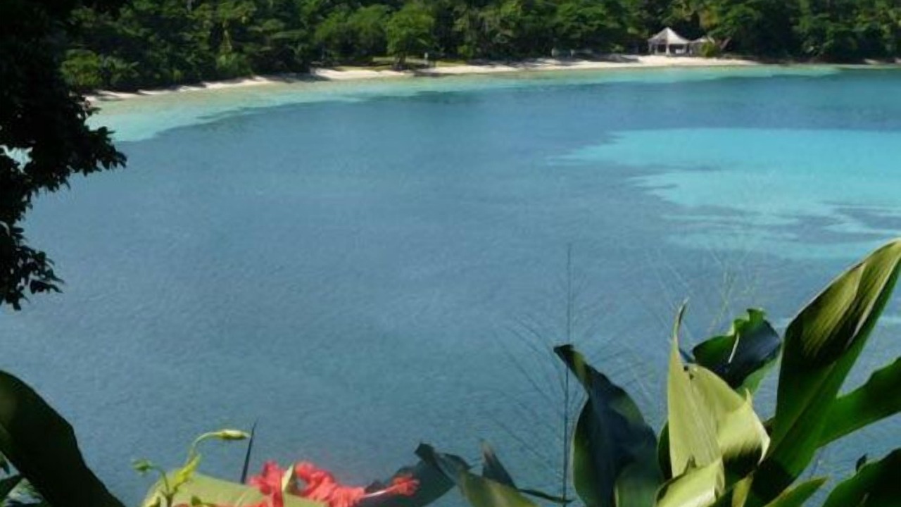 Photo of Others in Port Antonio