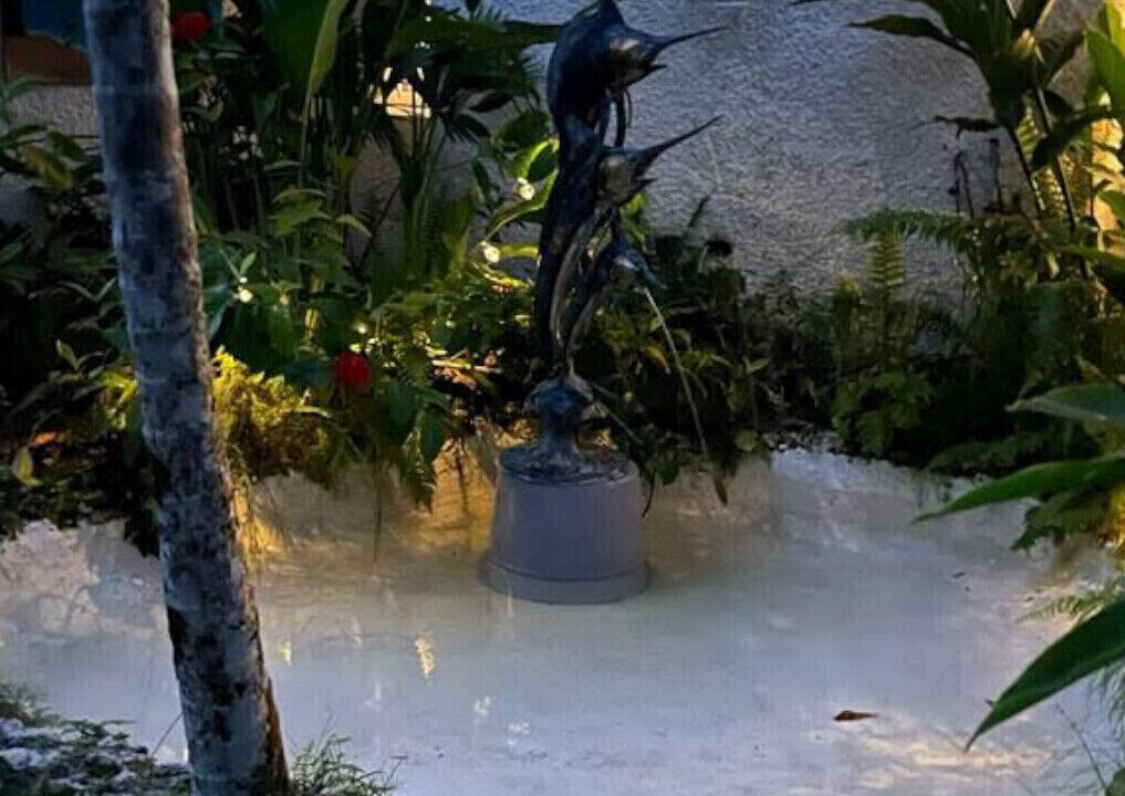 Photo of Outdoor in Port Antonio