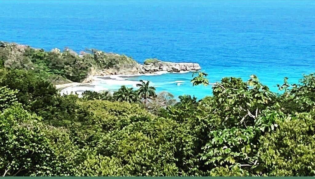 Photo of Others in Port Antonio