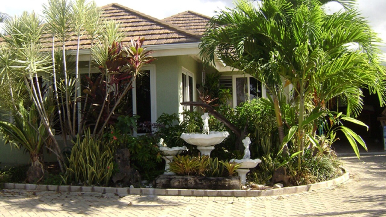Photo of Outdoor in St. Ann's Bay