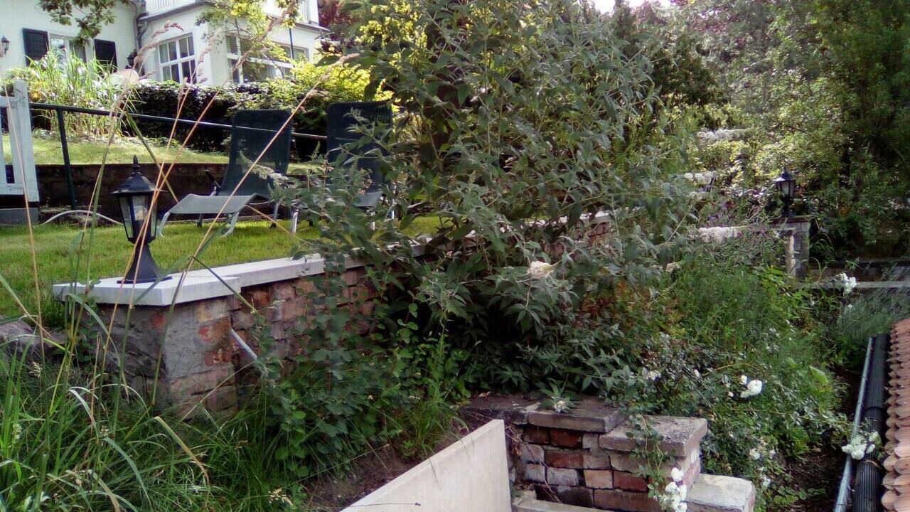 Photo of Outdoor in Loschwitz