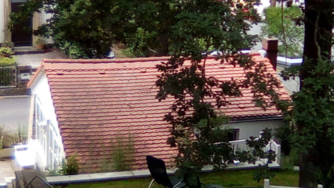 Photo of Outdoor in Loschwitz