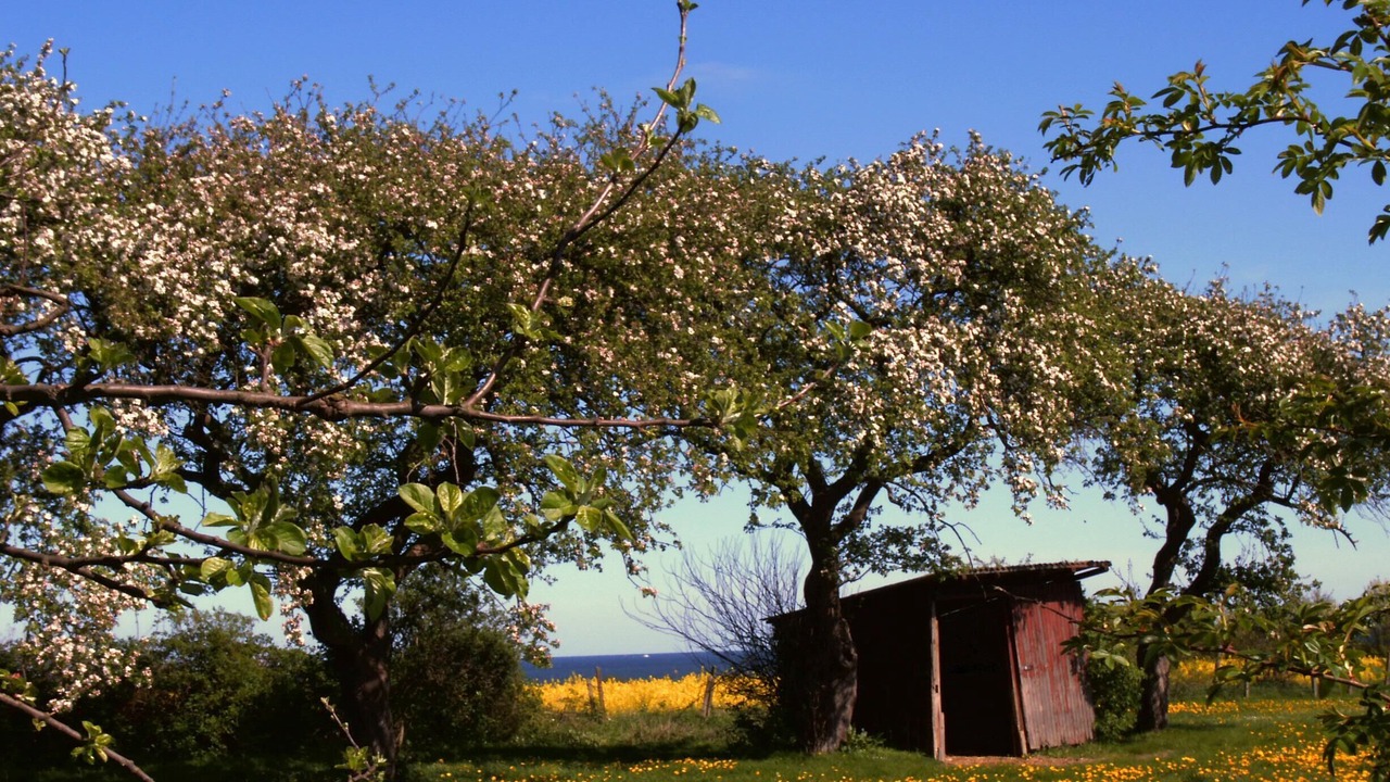 Photo of Outdoor in Stein