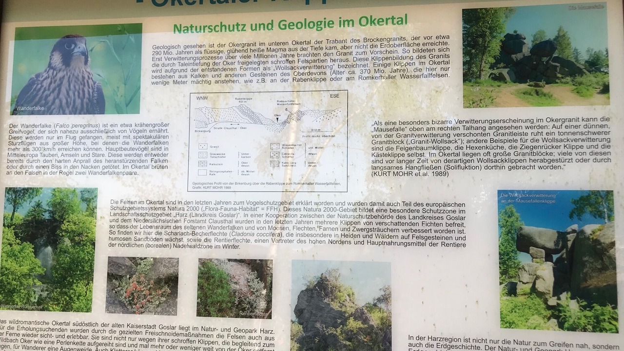 Photo of Outdoor in Bad Harzburg