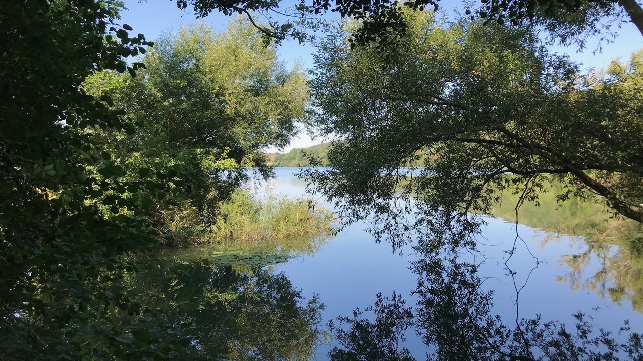 Photo of Outdoor in Bad Harzburg