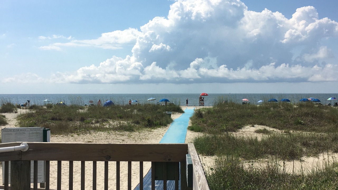 Photo of Outdoor in Folly Field